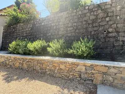 Allée bordée d'un mur en pierres et d'arbustes