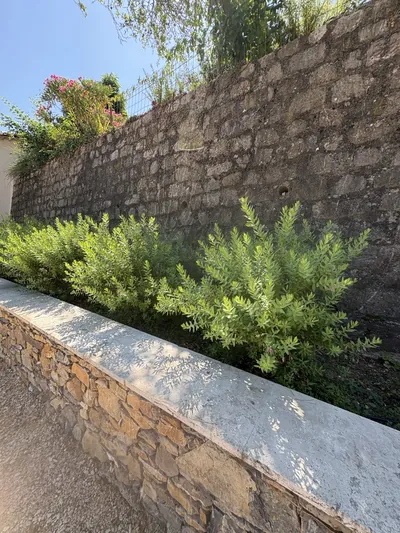 Mur en pierres fleuri le long de l'allée